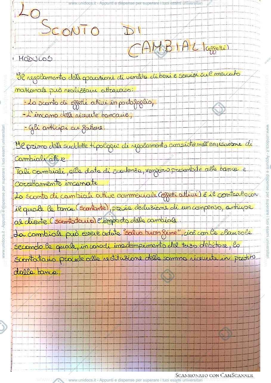 Anteprima pagina 1 — Lo sconto cambiali e le RIBA