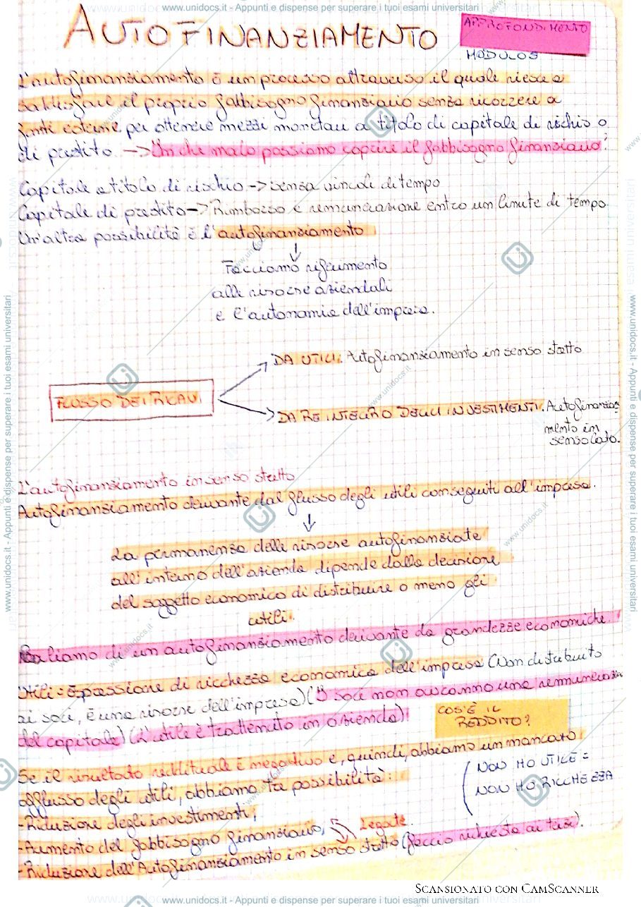 Anteprima pagina 1 — L'autofinanziamento