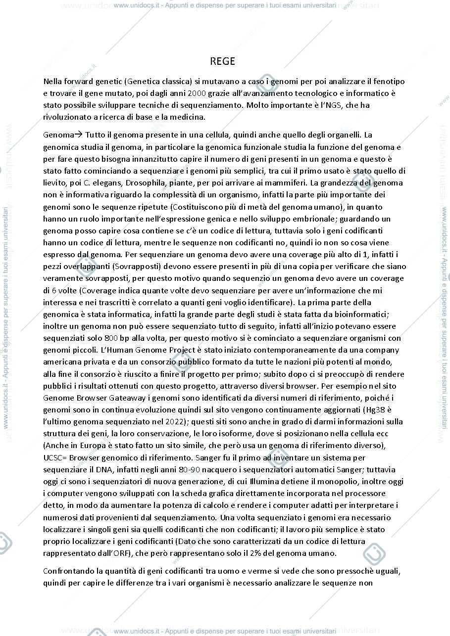 Anteprima pagina 1 — REGE