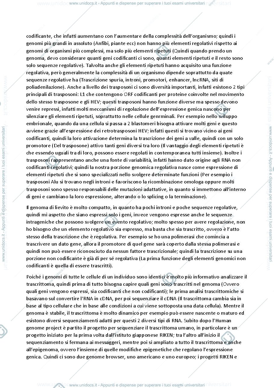 Anteprima pagina 2 — REGE