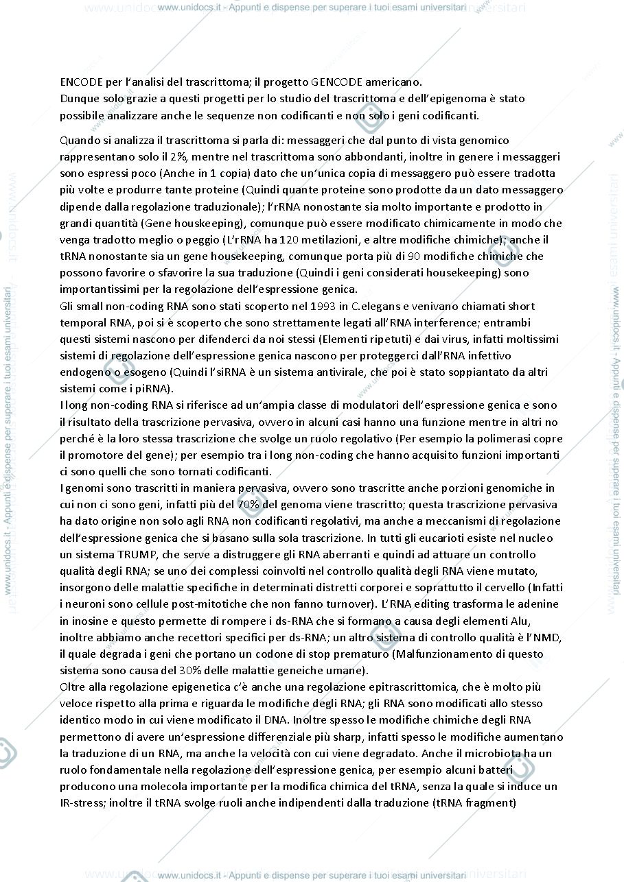 Anteprima pagina 3 — REGE