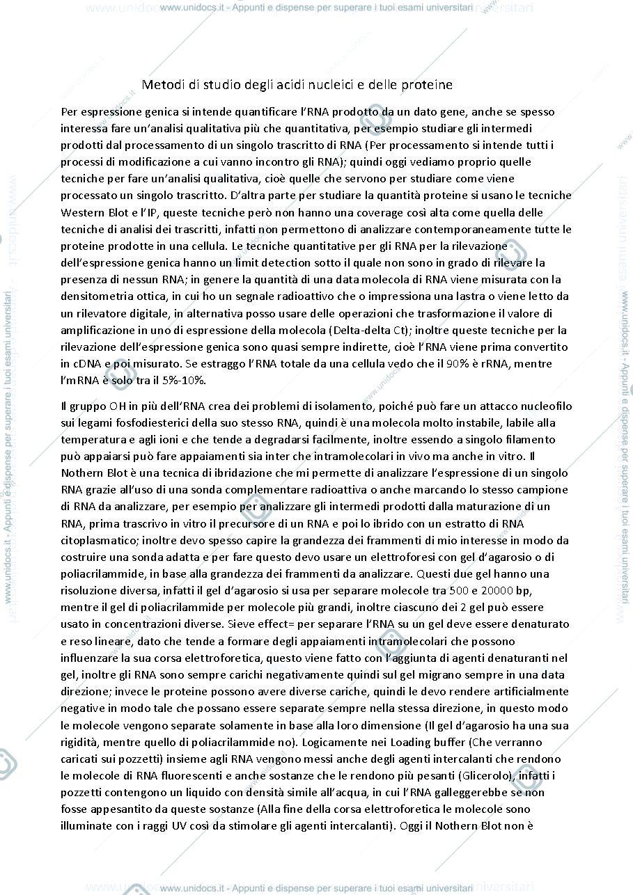 Anteprima pagina 4 — REGE