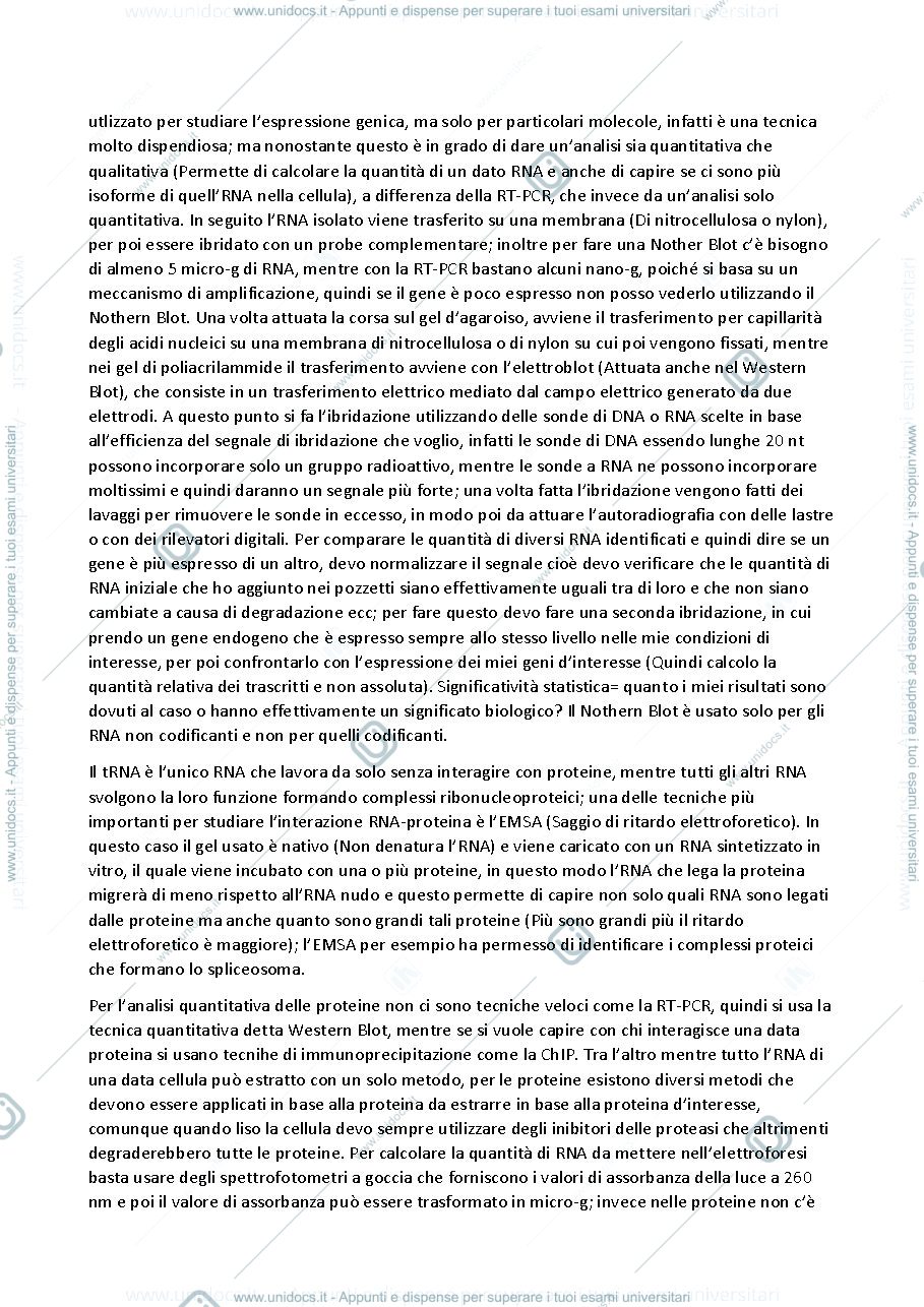 Anteprima pagina 5 — REGE