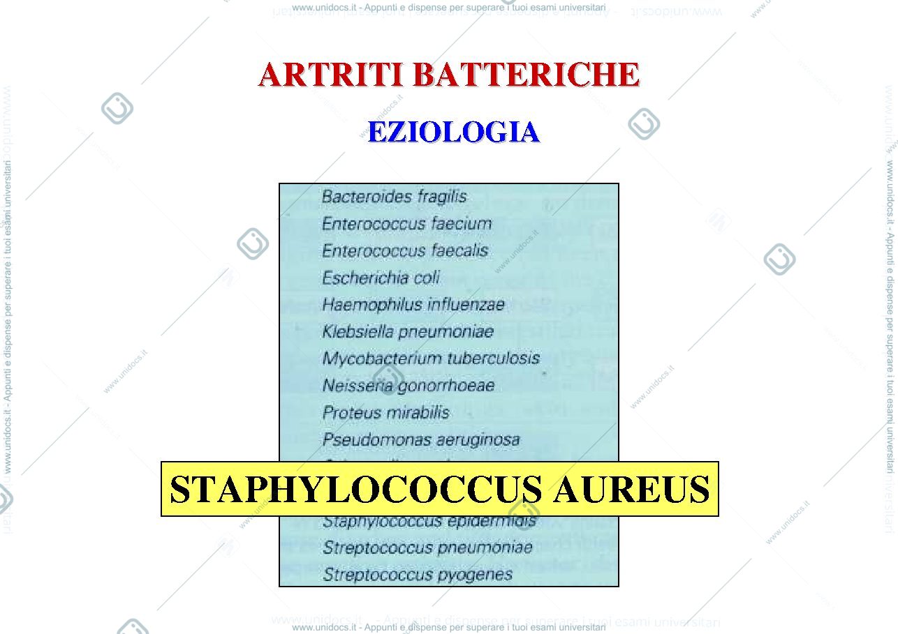 Anteprima pagina 2 — artriti infettive