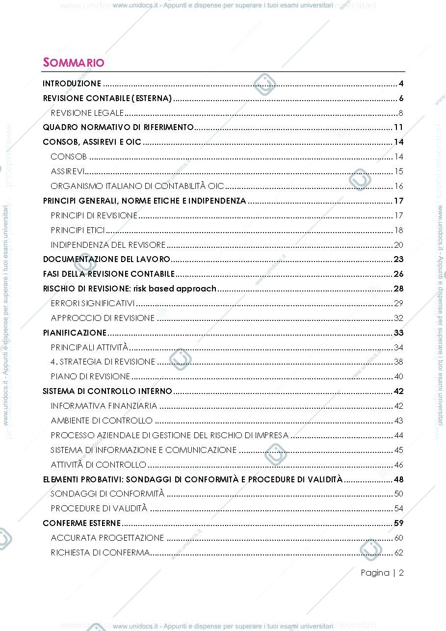 Anteprima pagina 3 — Revisione aziendale