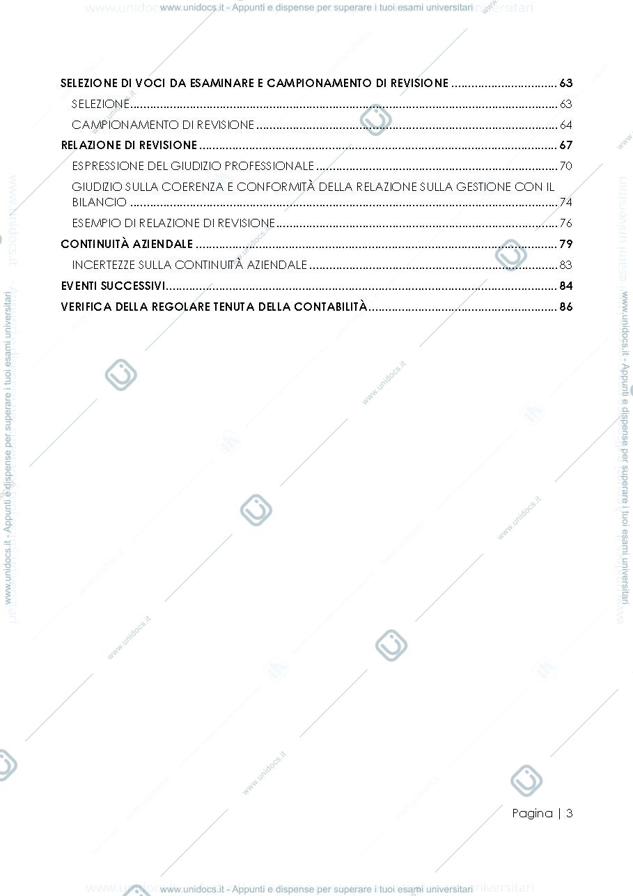 Anteprima pagina 4 — Revisione aziendale