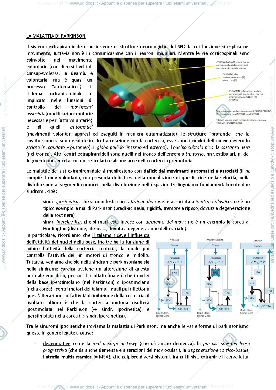 Anteprima pagina 1 — Malattia di Parkinson; basi di neurologia per fisioterapisti