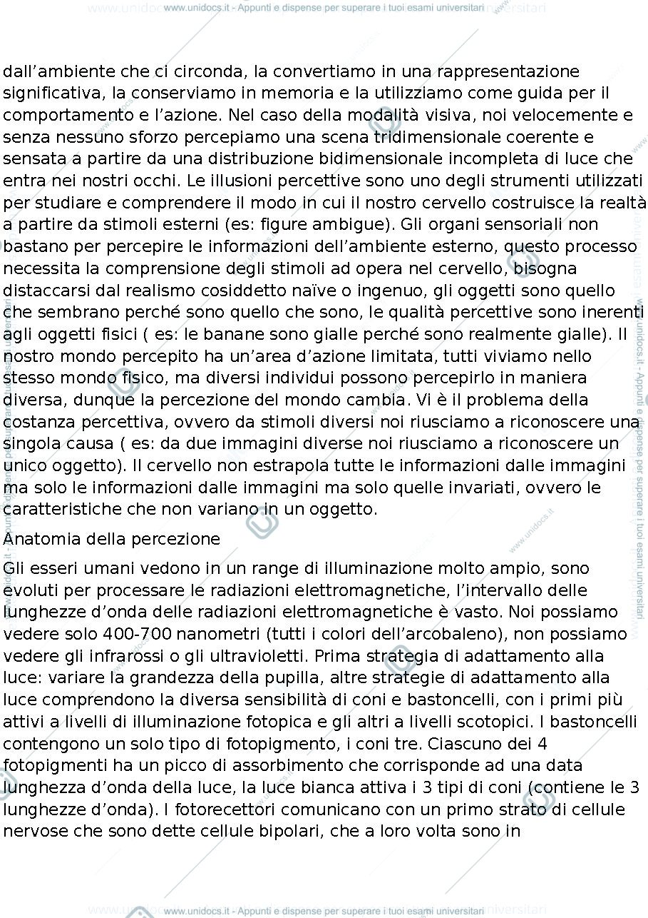 Anteprima pagina 2 — percezione visiva