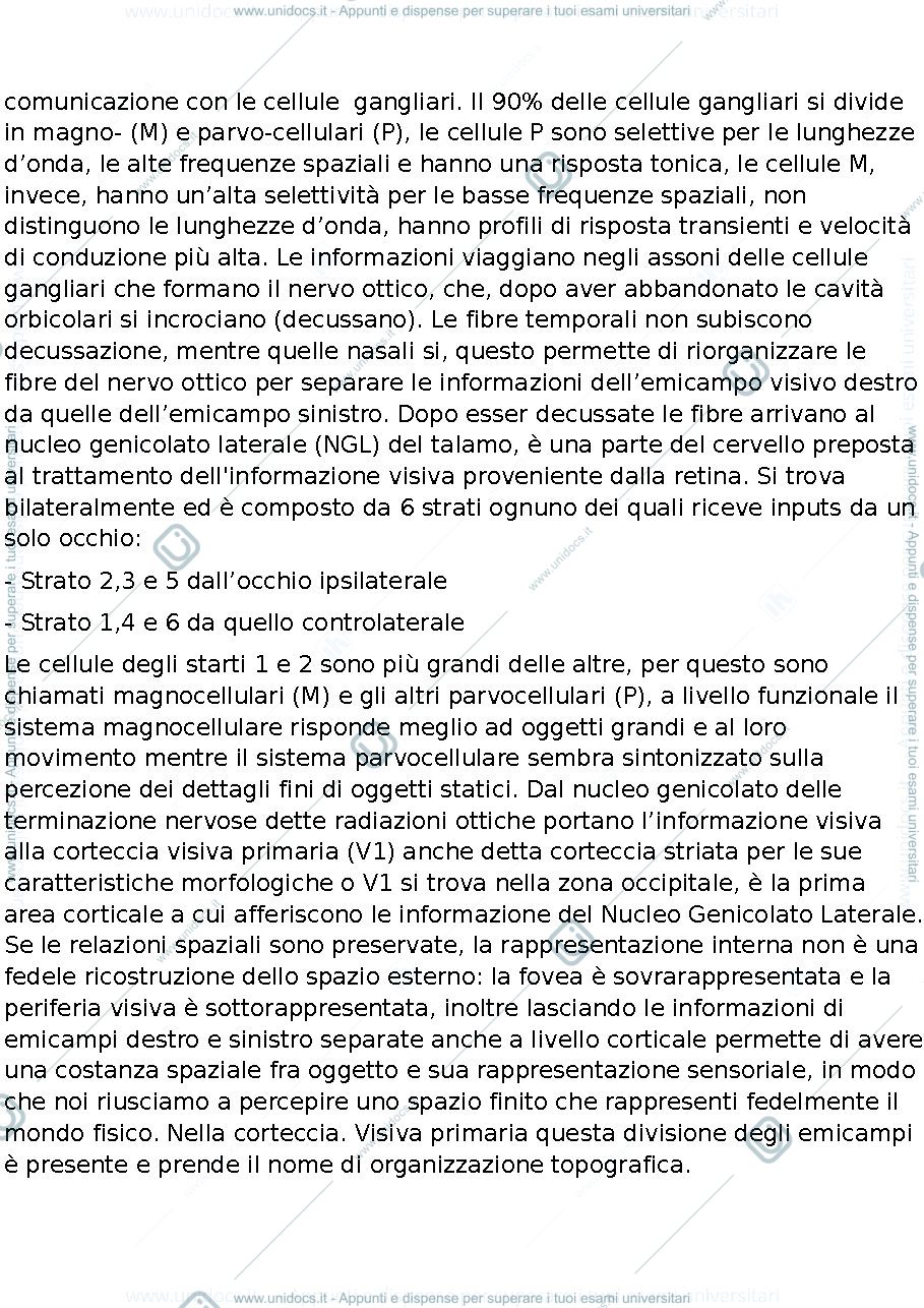 Anteprima pagina 3 — percezione visiva