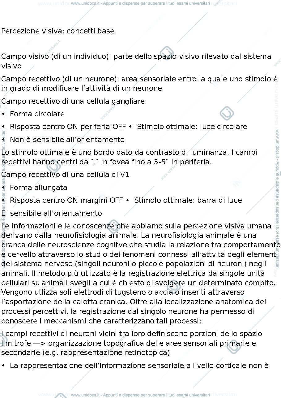 Anteprima pagina 4 — percezione visiva