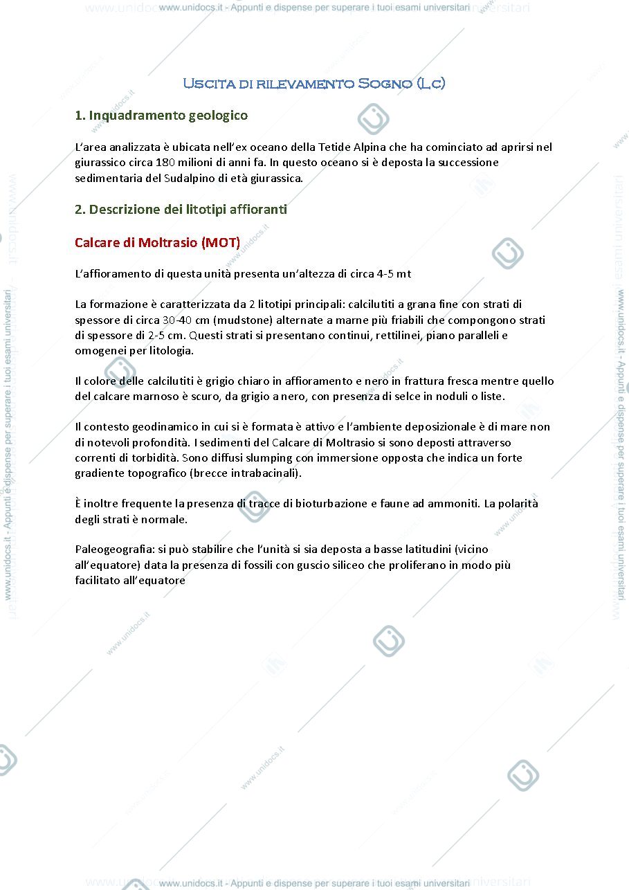 Anteprima pagina 1 — uscita 1 del corso di rilevamento geologico
