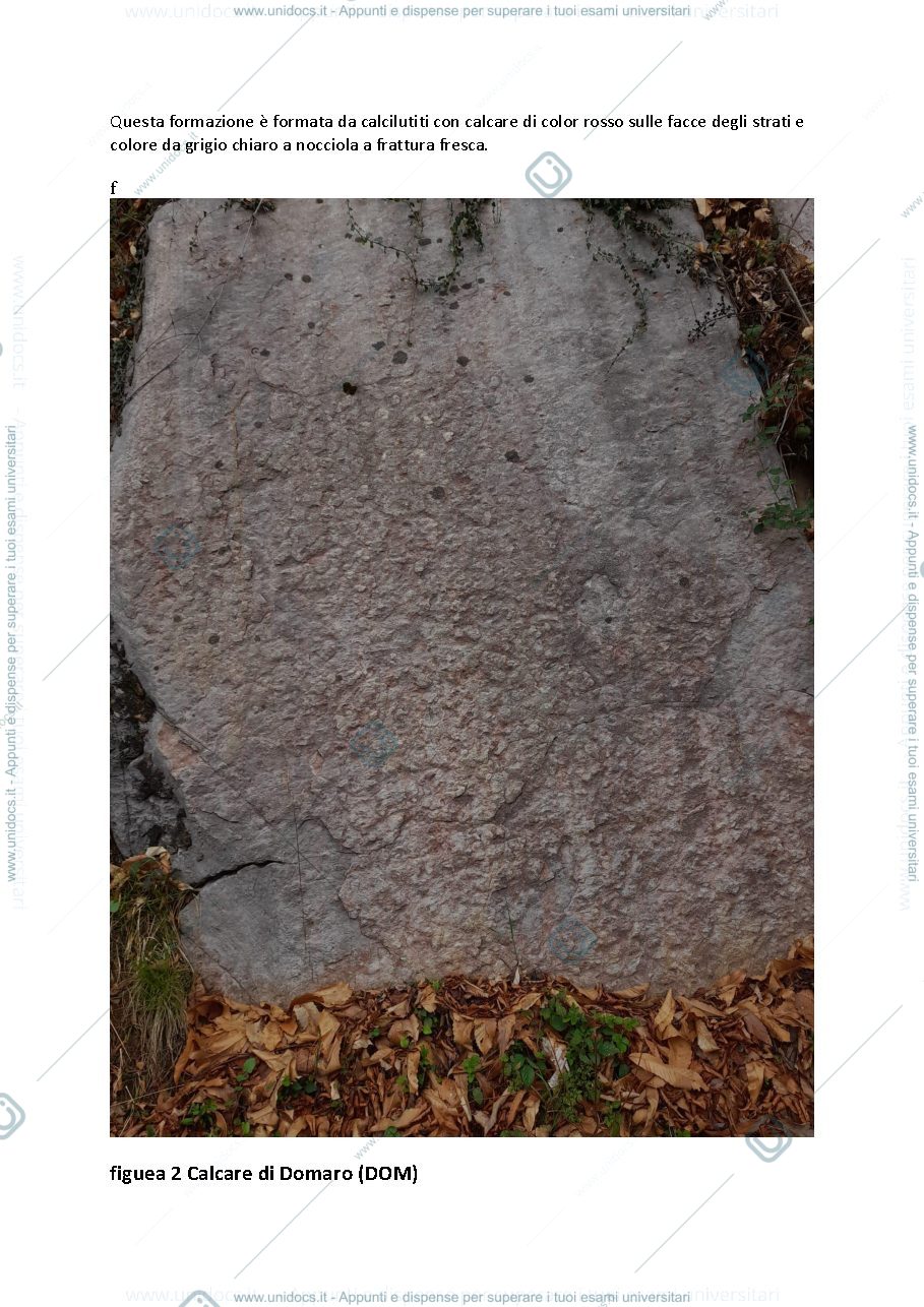 Anteprima pagina 3 — uscita 1 del corso di rilevamento geologico
