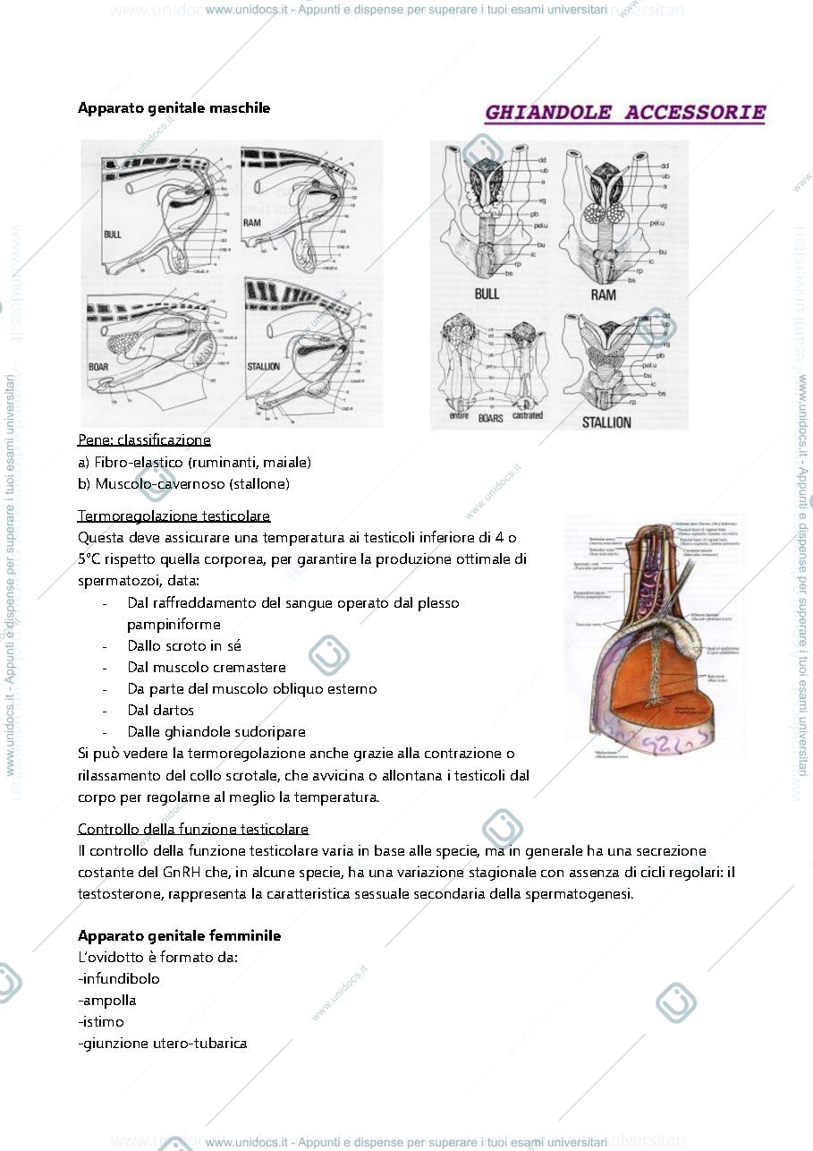Anteprima pagina 3 — Appunti di riproduzione animale