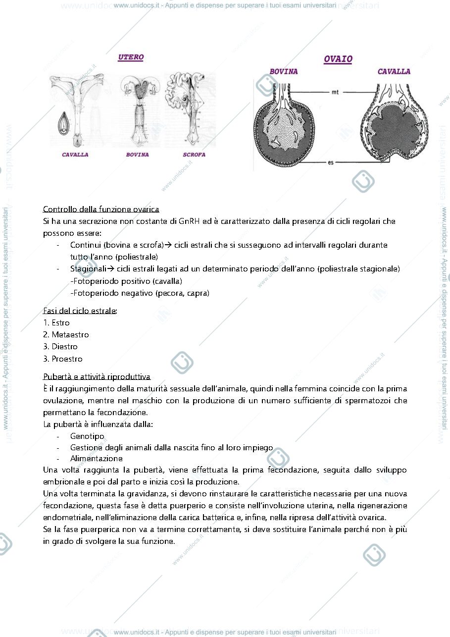 Anteprima pagina 4 — Appunti di riproduzione animale