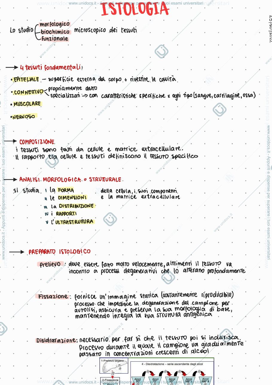 Anteprima pagina 1 — Introduzione Istologia