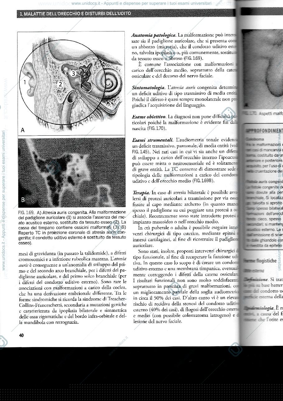 Anteprima pagina 3 — audiologia