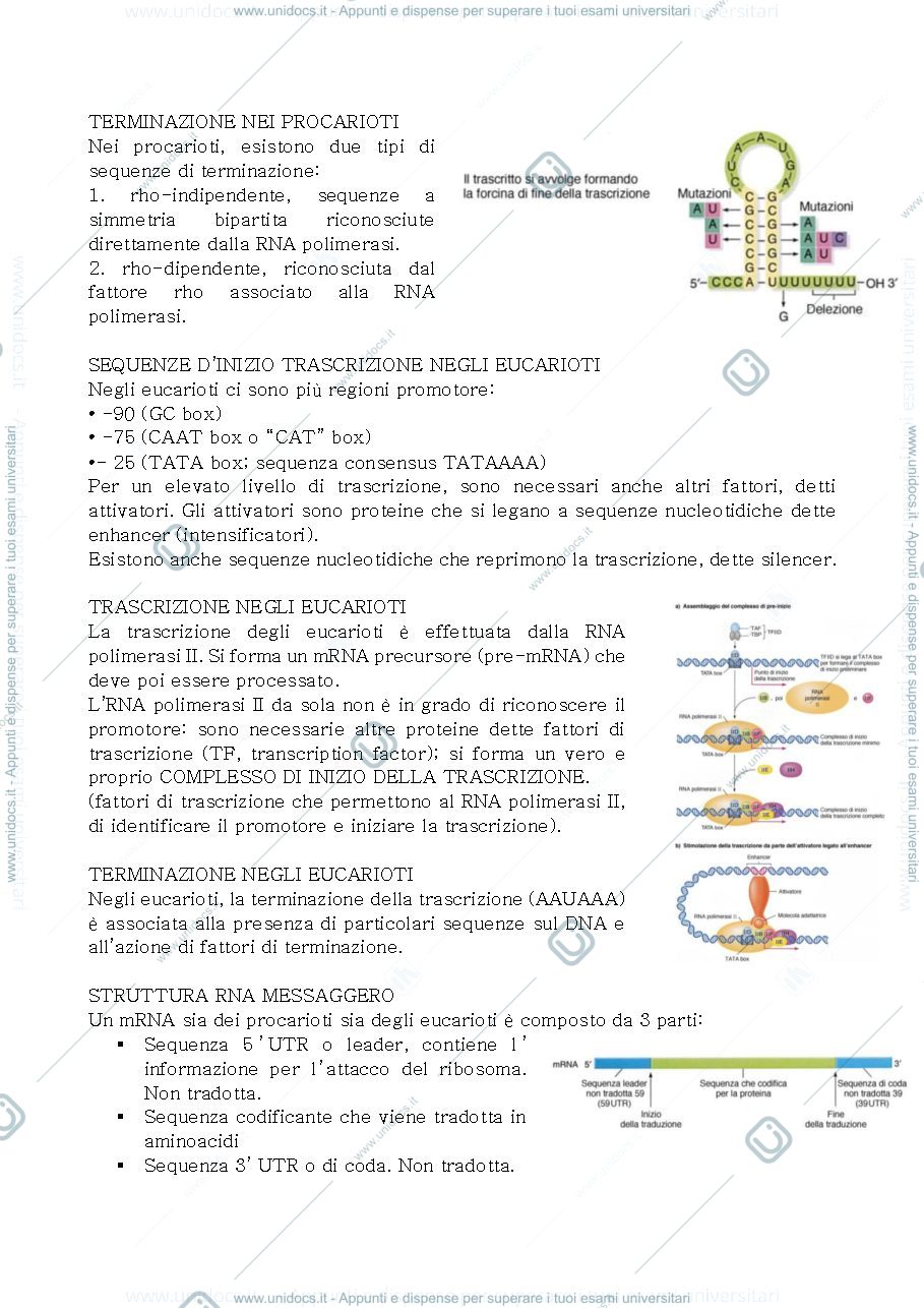 Anteprima pagina 2 — Biologia 