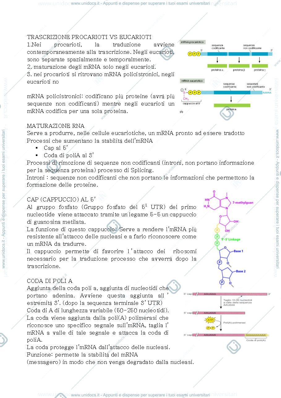 Anteprima pagina 3 — Biologia 