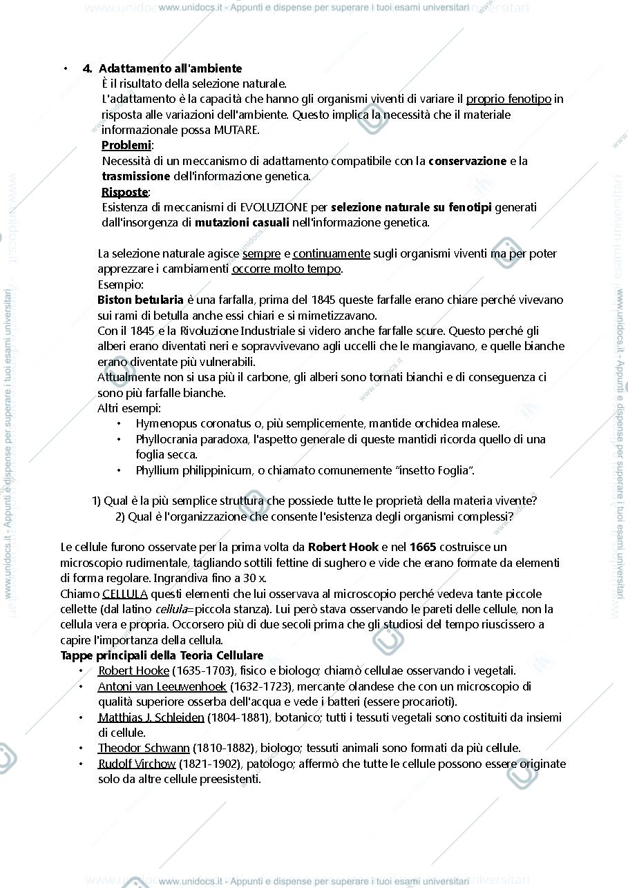 Anteprima pagina 3 — biologia