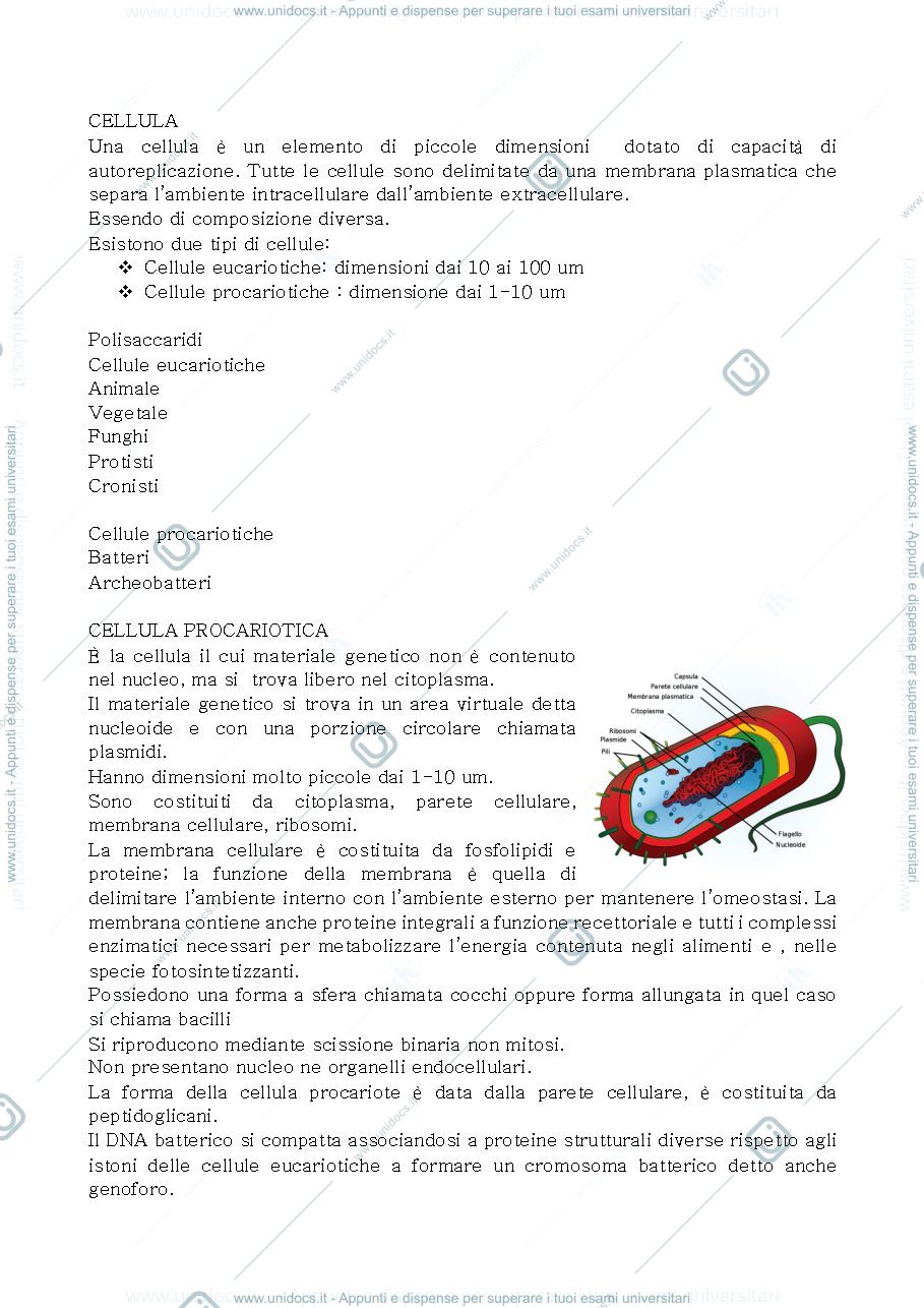 Anteprima pagina 1 — Biologia 1