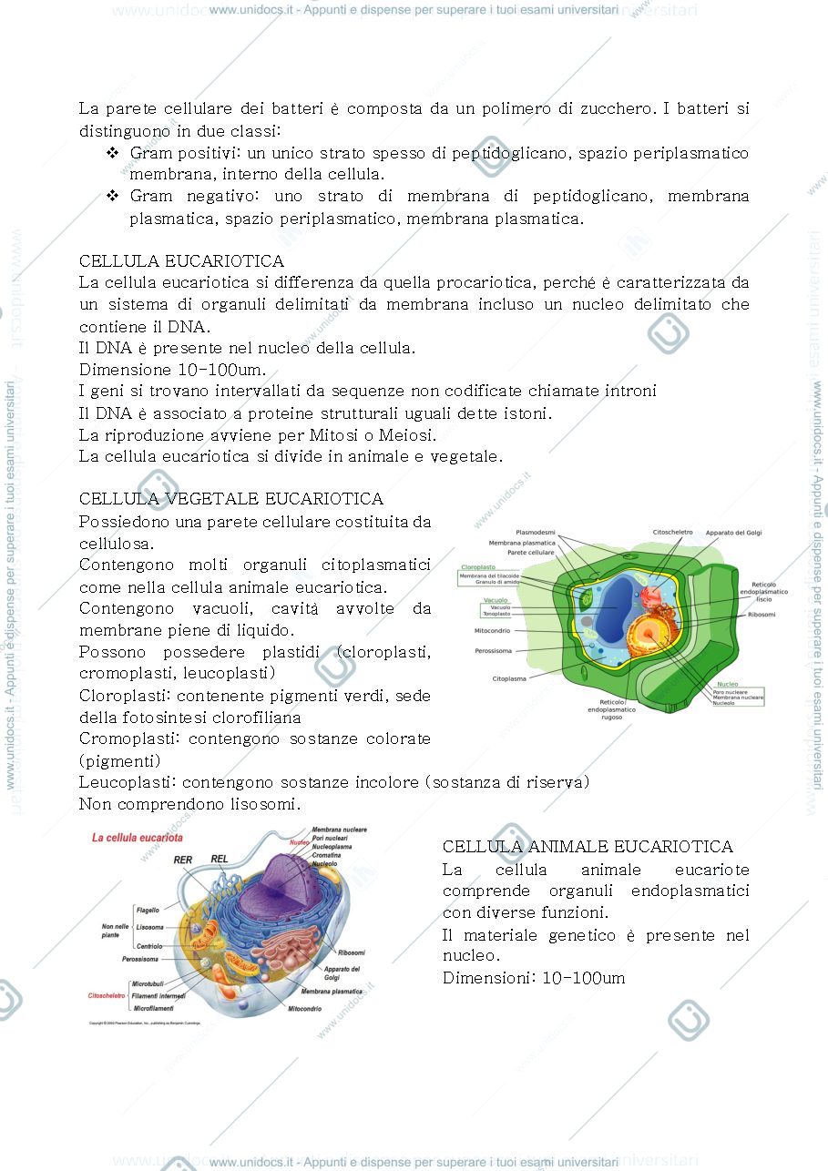 Anteprima pagina 2 — Biologia 1