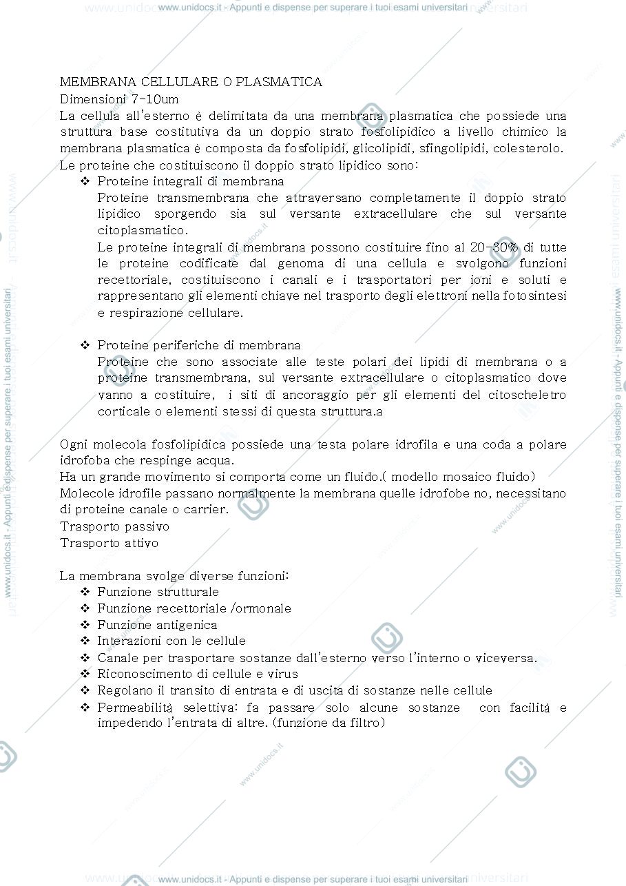 Anteprima pagina 3 — Biologia 1