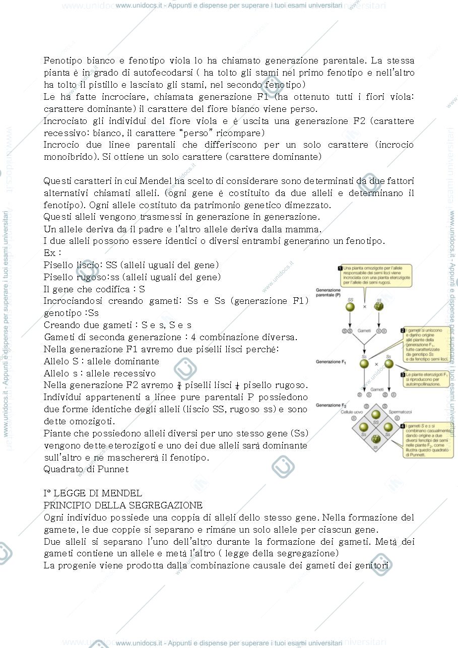 Anteprima pagina 2 — Genetica e virus 