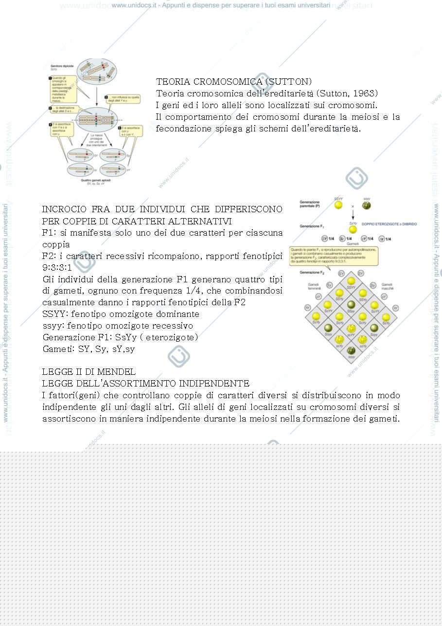 Anteprima pagina 3 — Genetica e virus 