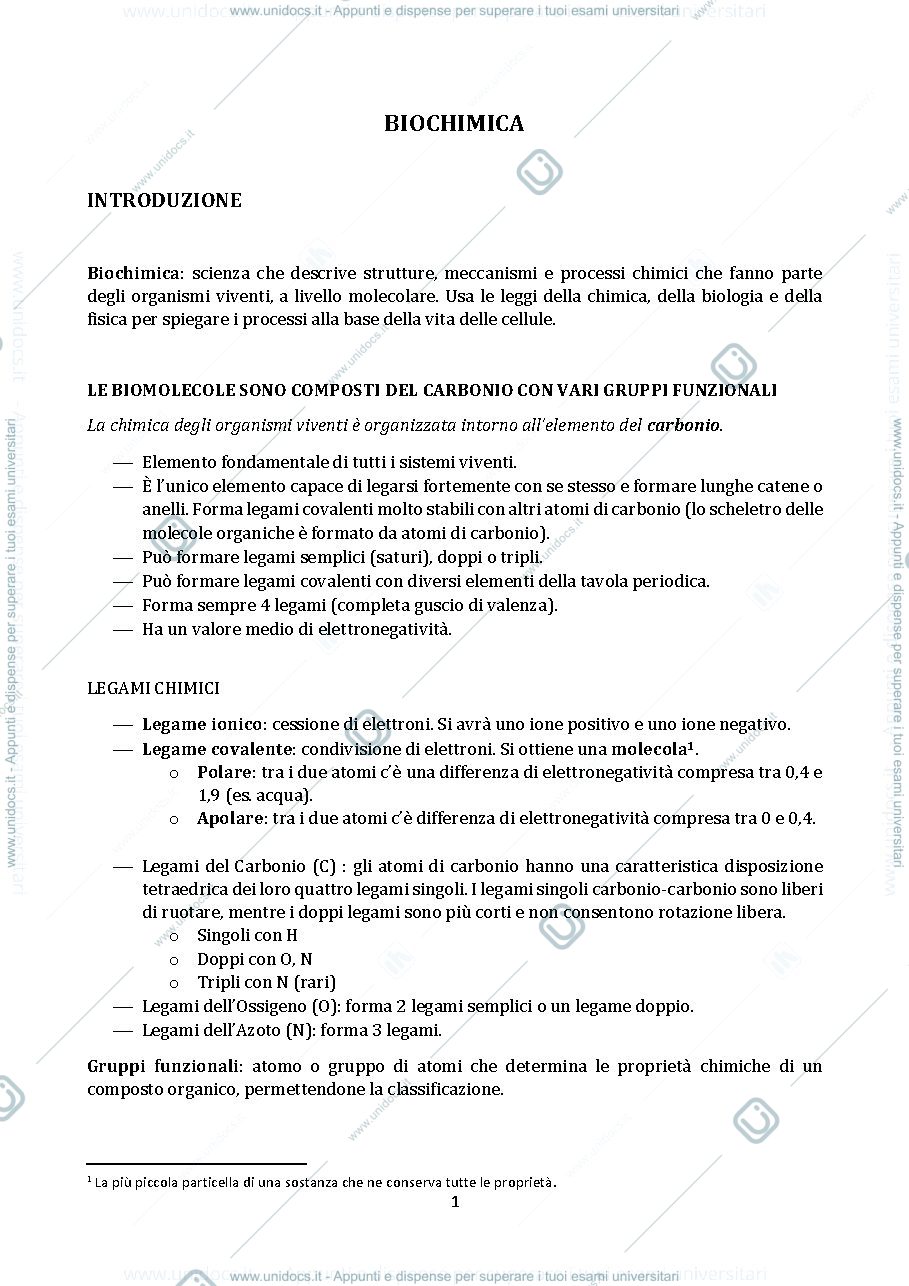 Anteprima pagina 1 — Schemi di biochimica, modulo dell'esame "scienze biologiche e biochimiche", primo anno - SACCO