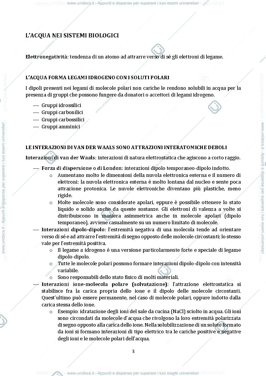 Anteprima pagina 3 — Schemi di biochimica, modulo dell'esame "scienze biologiche e biochimiche", primo anno - SACCO