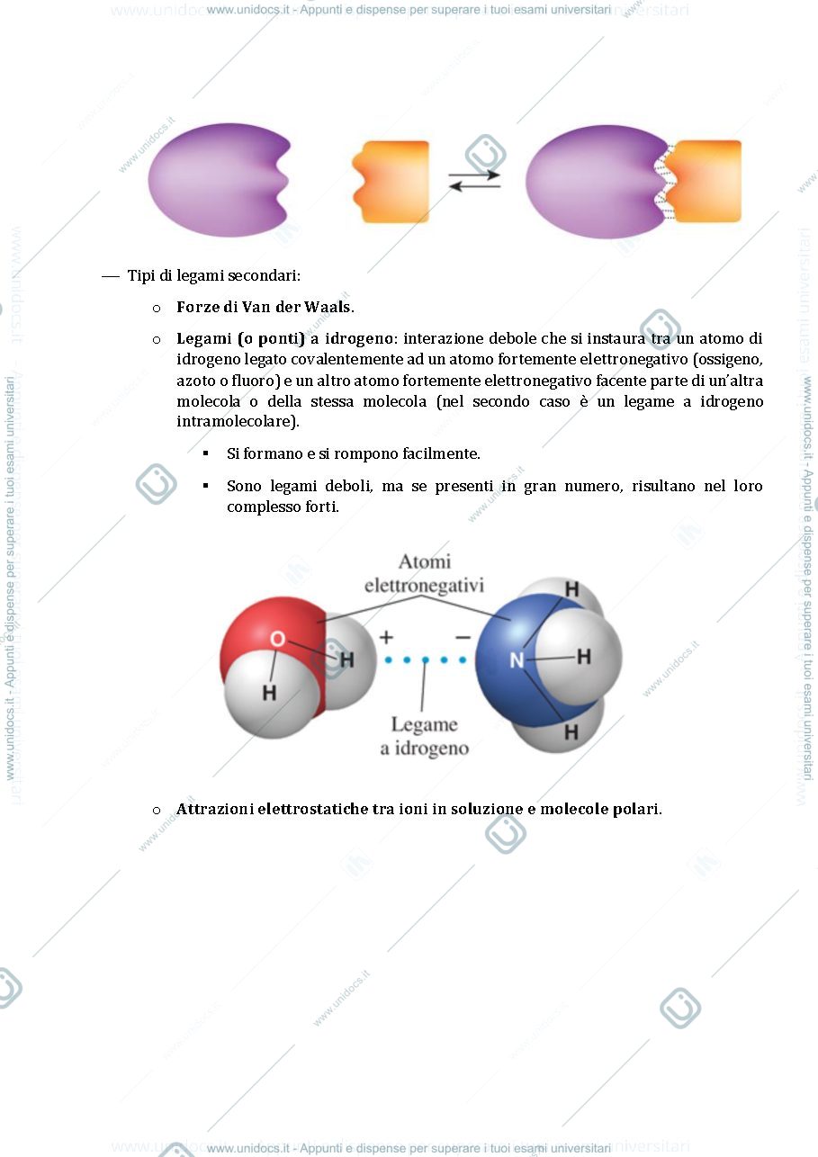 Anteprima pagina 2 — SCHEMI OFA BIOLOGIA primo anno