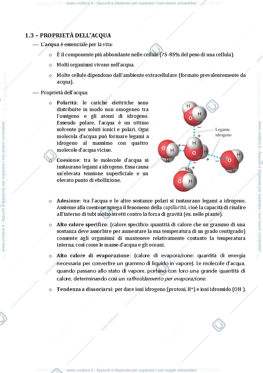 Anteprima pagina 3 — SCHEMI OFA BIOLOGIA primo anno