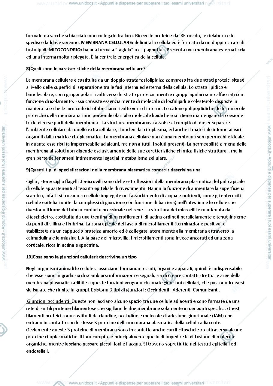 Anteprima pagina 3 —  biologia