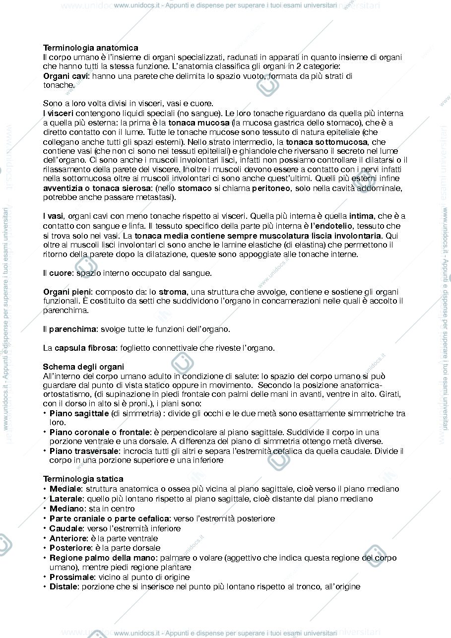 Anteprima pagina 1 — anatomia riassunti