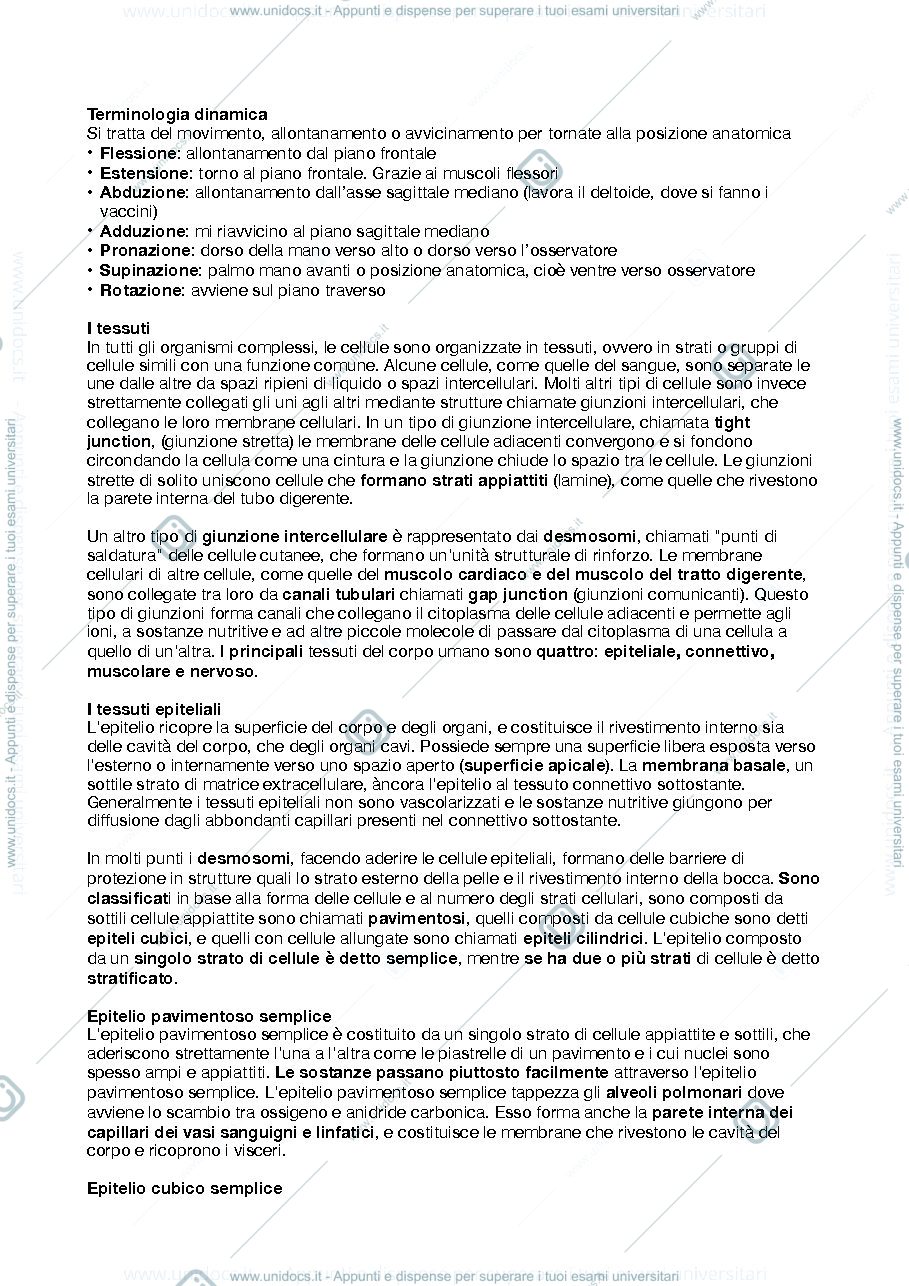 Anteprima pagina 2 — anatomia riassunti
