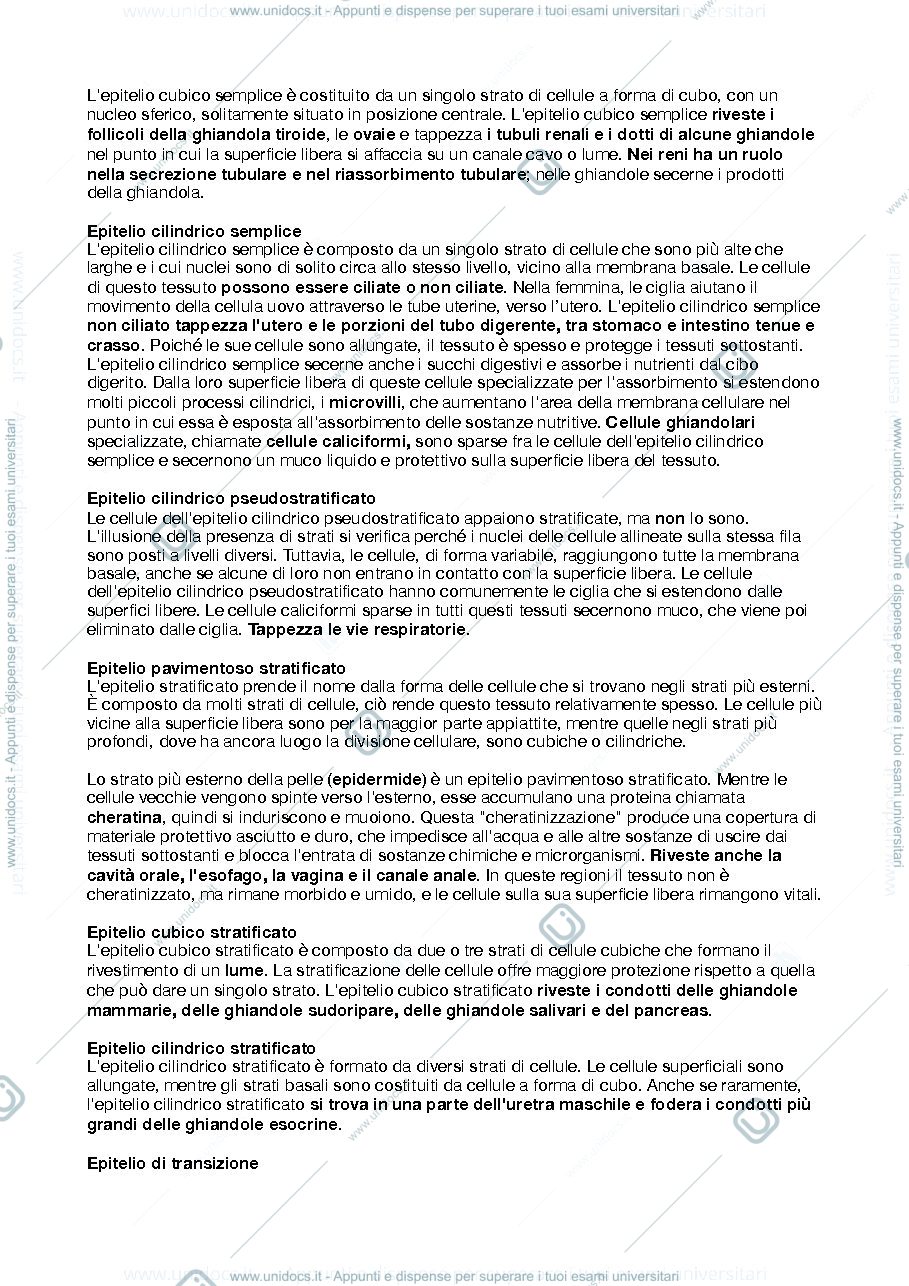 Anteprima pagina 3 — anatomia riassunti