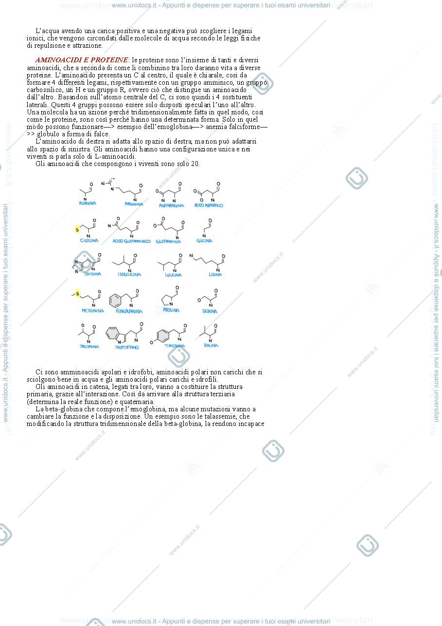 Anteprima pagina 3 — Biologia