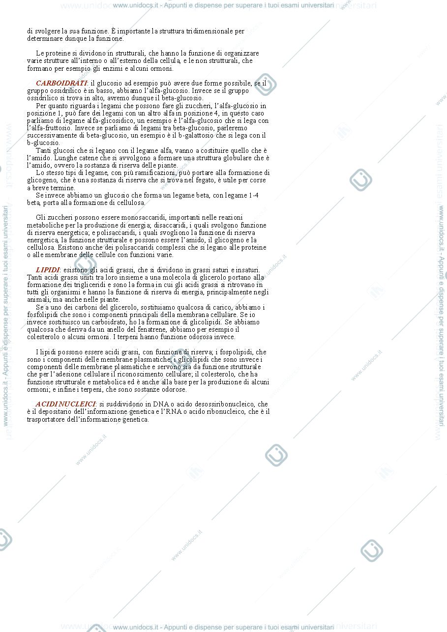 Anteprima pagina 4 — Biologia