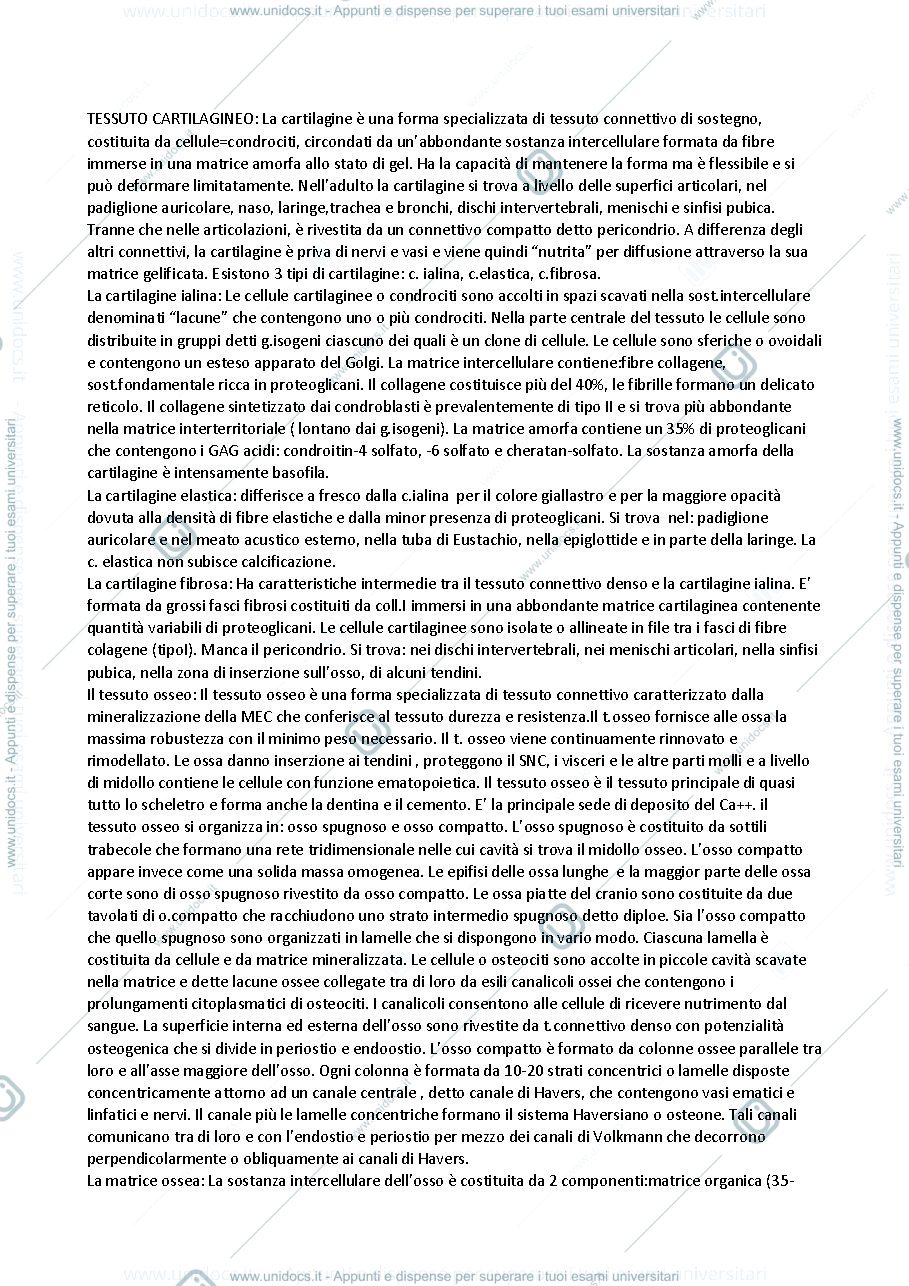 Anteprima pagina 1 — Istologia