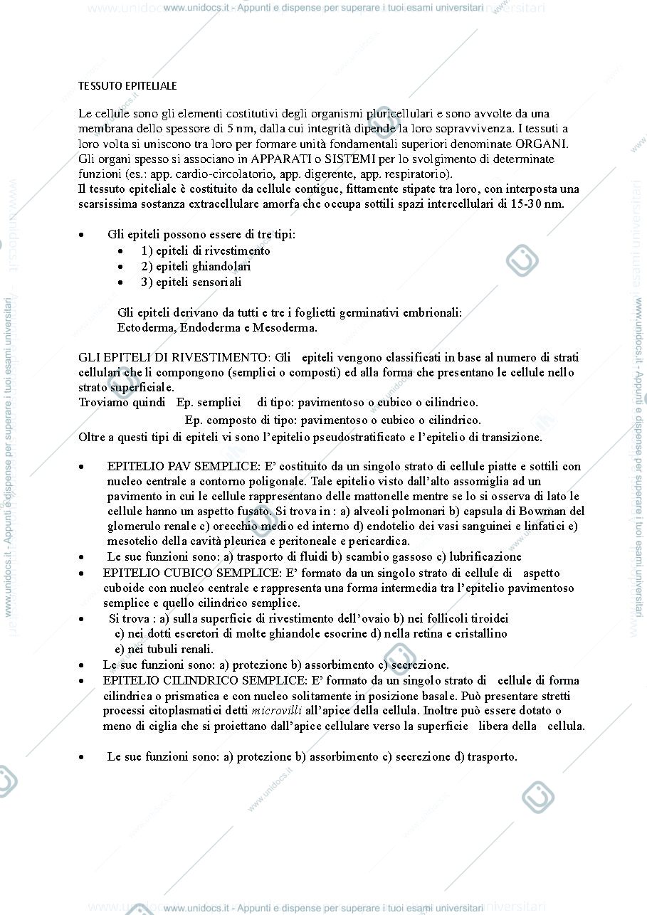 Anteprima pagina 1 — Istologia