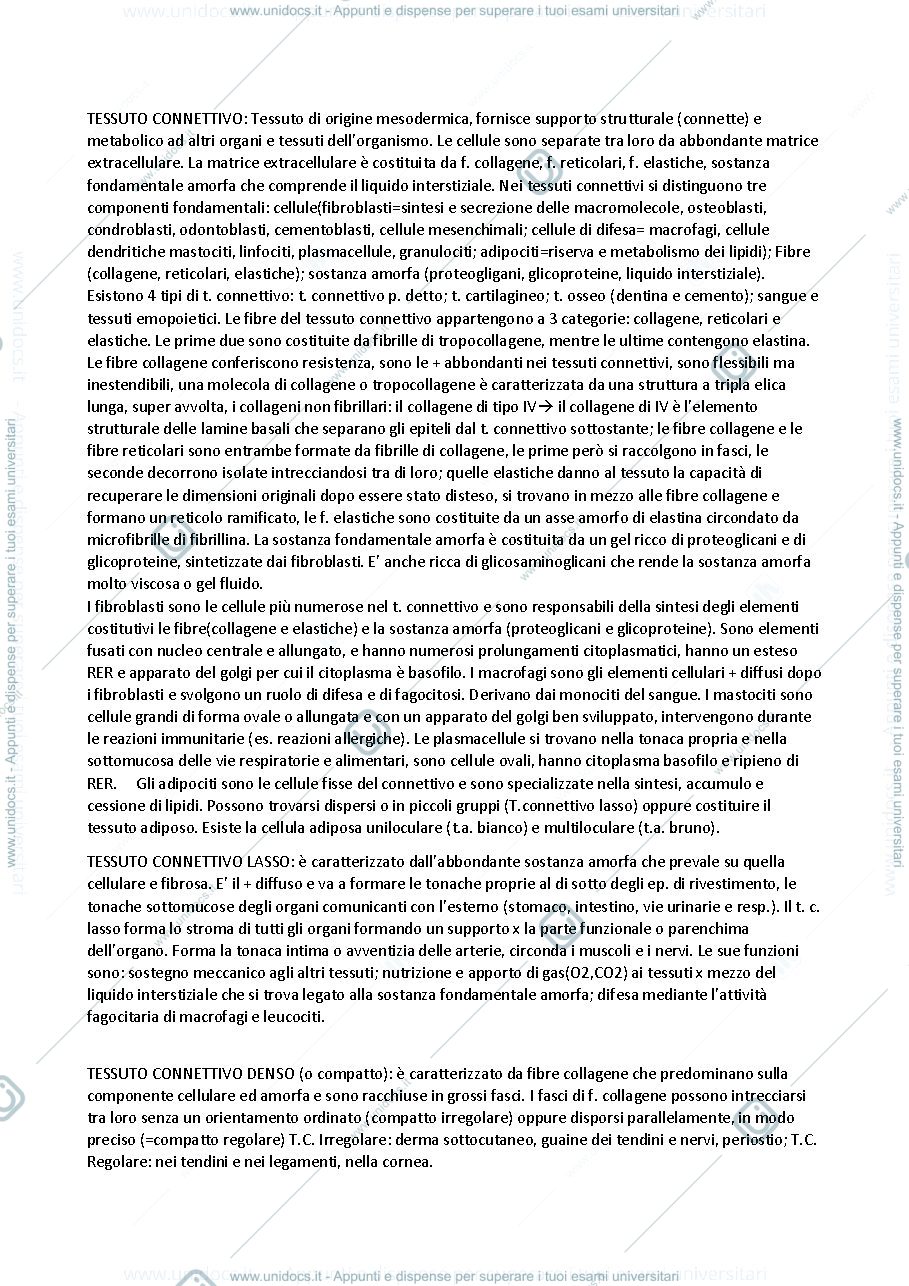 Anteprima pagina 1 — Istologia