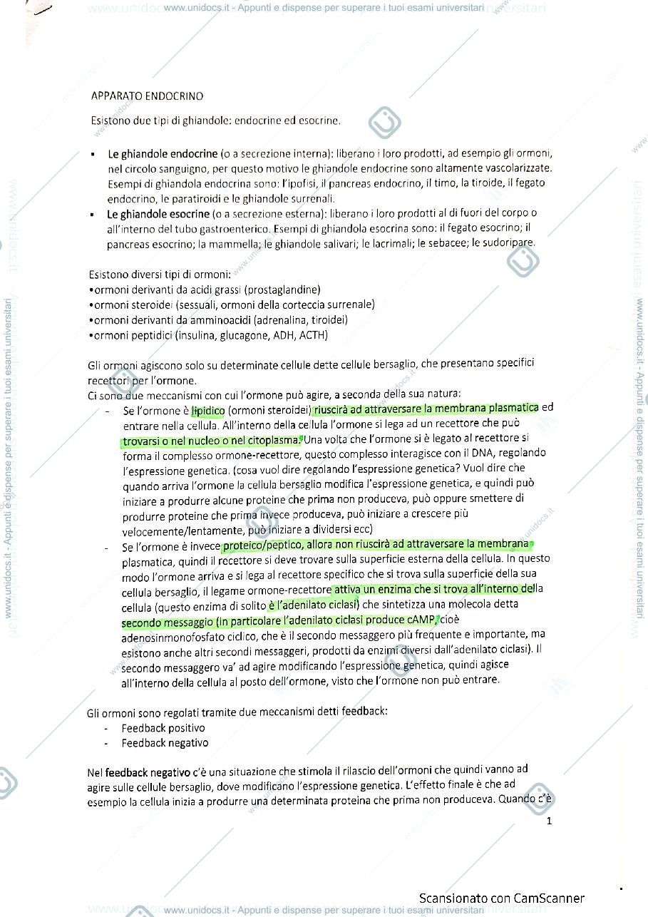 Anteprima pagina 1 — APPARATO ENDOCRINO