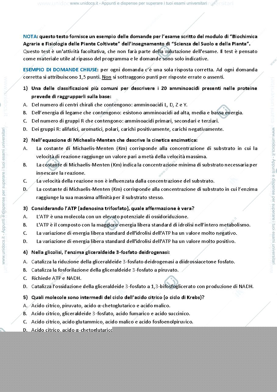 Anteprima pagina 1 — Esempio di esame
