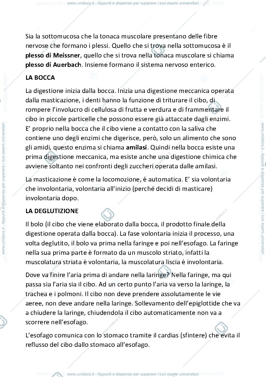 Anteprima pagina 3 — DISPENSE DI SCIENZE DELL'ALIMENTAZIONE