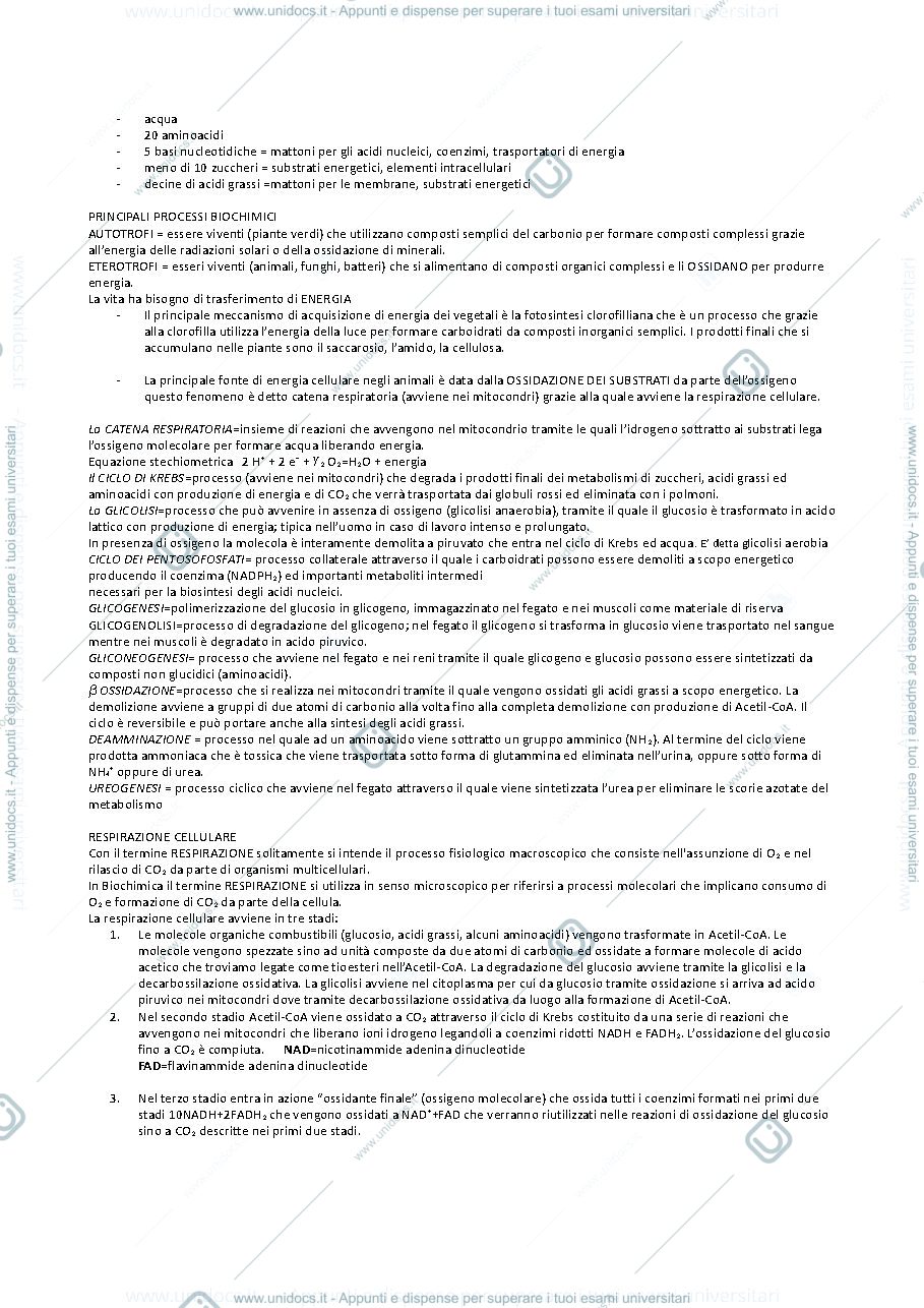 Anteprima pagina 3 — biochimica 