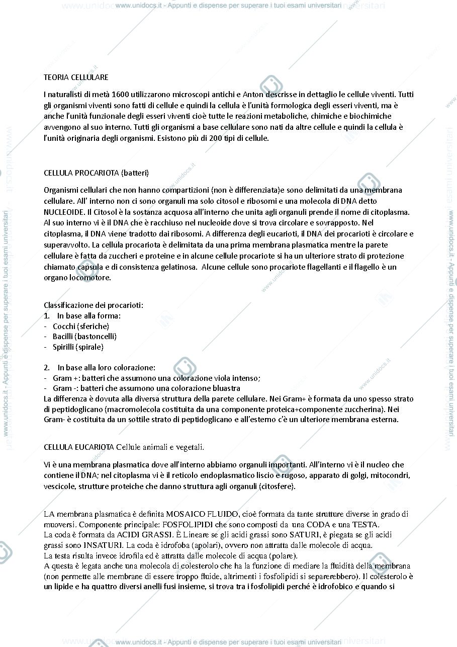 Anteprima pagina 2 — biologia applicata