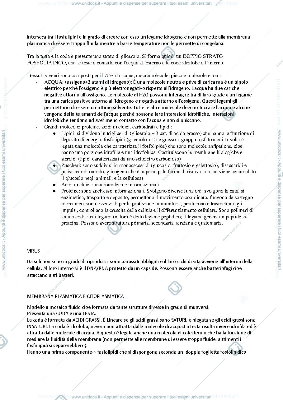 Anteprima pagina 3 — biologia applicata