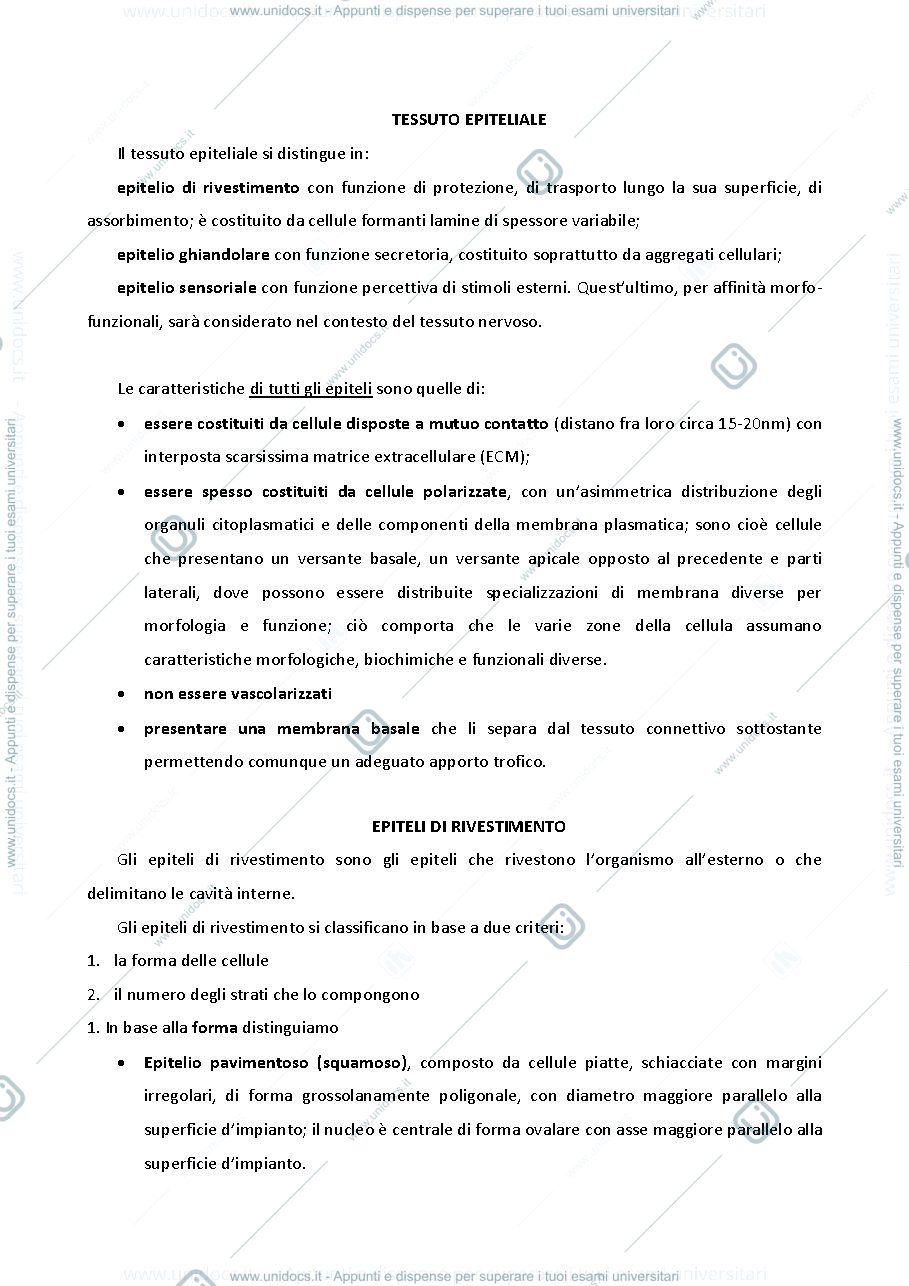 Anteprima pagina 1 — appunti istologia 