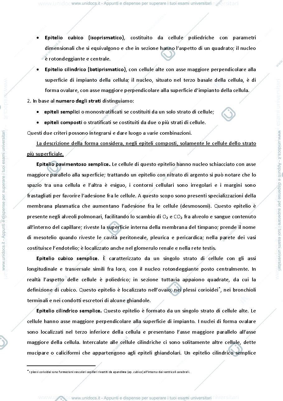 Anteprima pagina 2 — appunti istologia 