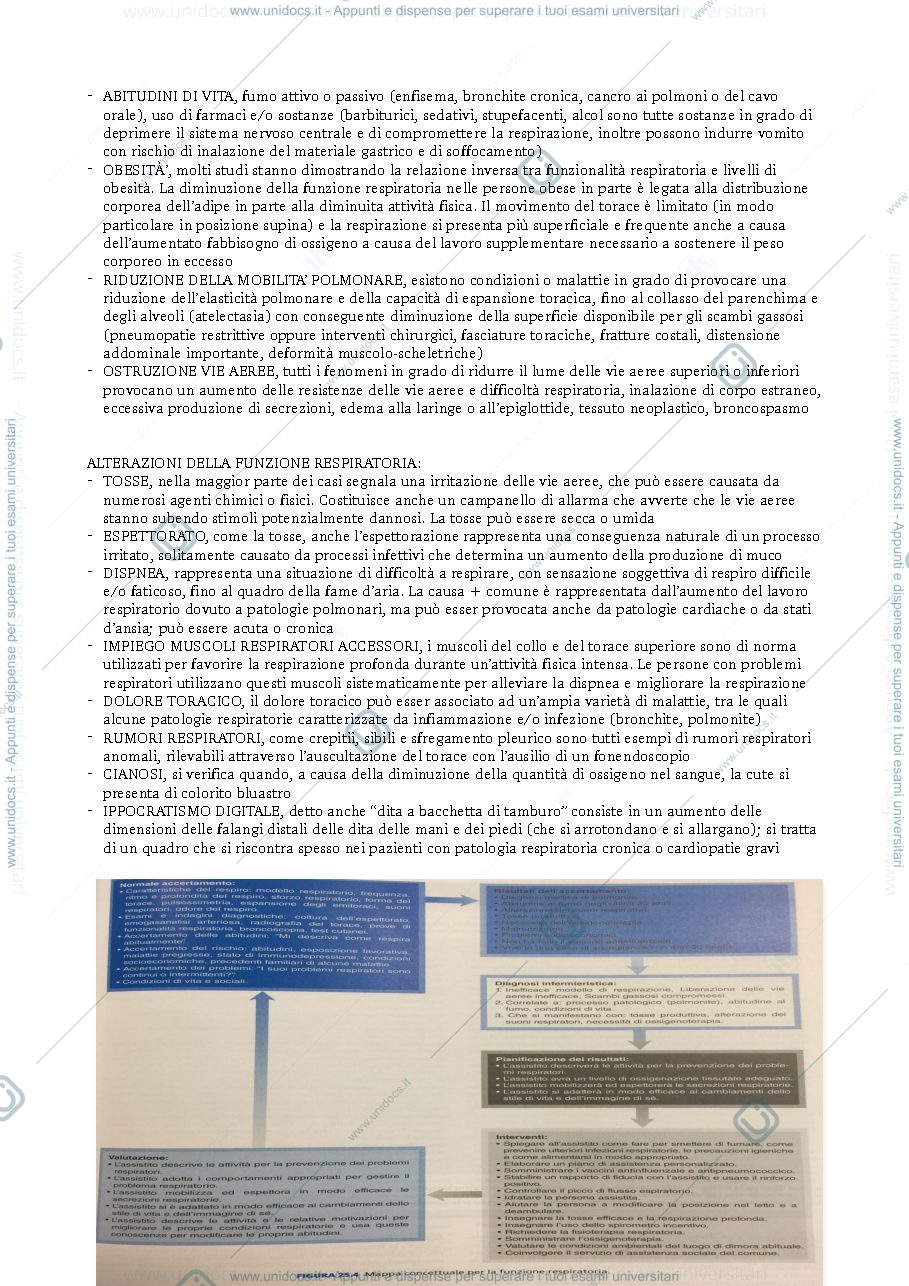 Anteprima pagina 3 — Biologia